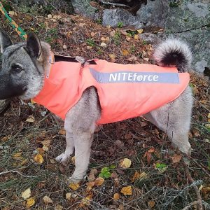 Dog Safety Vest