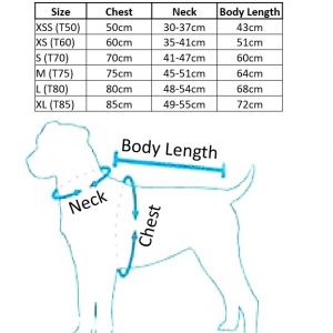 Sizing Chart