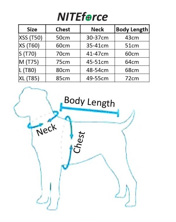 Sizing Chart